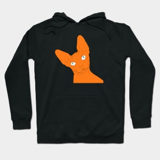 Orange Sphynx Cat Hoodie